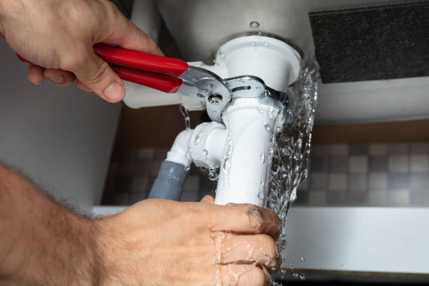 Best Mold removal after water damage  in Boulder, CO