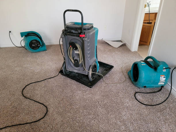 Best Carpet water damage restoration  in Boulder, CO