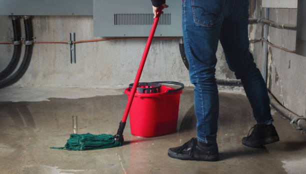 Best Flood restoration services  in Boulder, CO