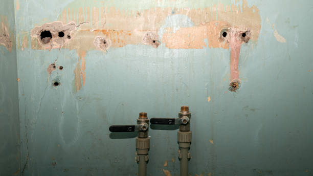 Best Water damage contractors near me  in Boulder, CO