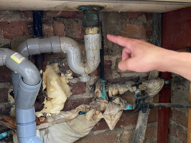 Best 24/7 water damage repair  in Boulder, CO