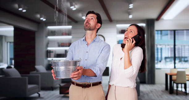 Best Water damage restoration experts  in Boulder, CO